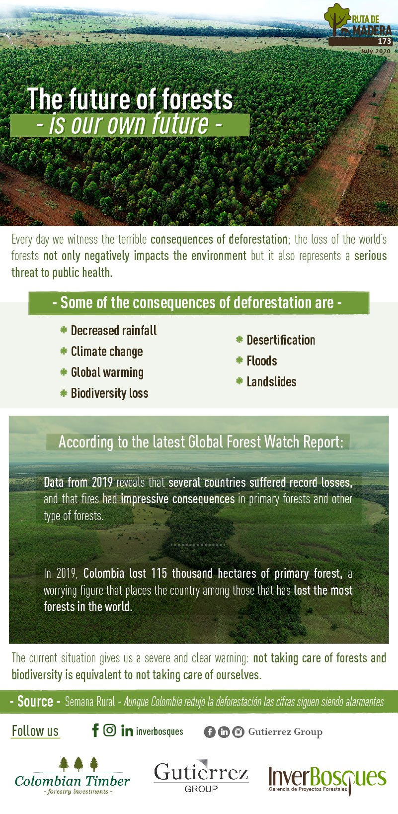 The future of forests is our own future