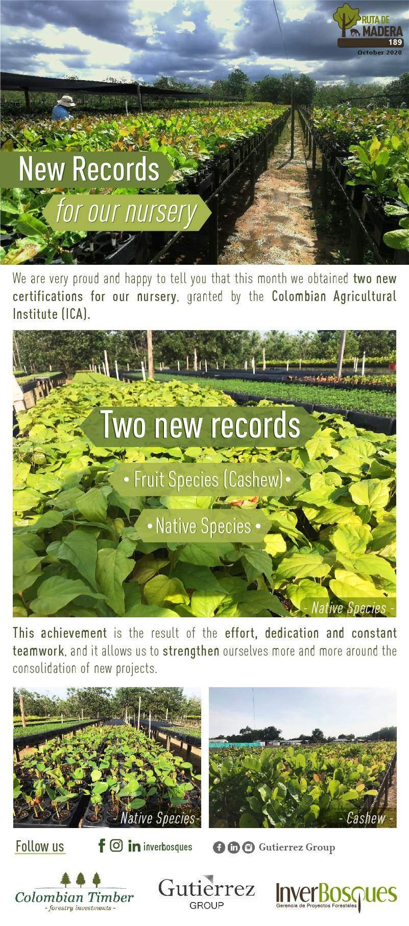 New Records for our Nursery